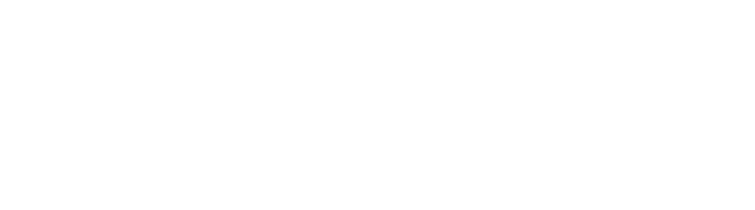 放飞未来Logo