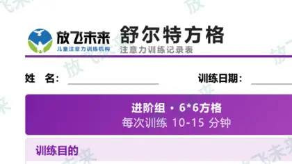高级教案内页舒尔特方格示例